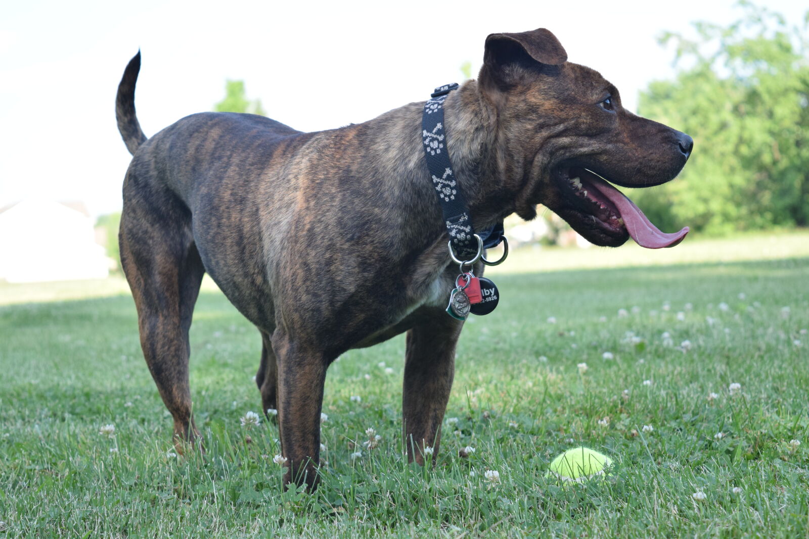 Nikon D3300 sample photo