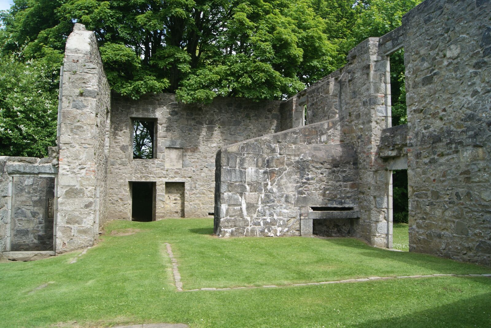 Sony Alpha DSLR-A230 sample photo. Trees, grass, ruins photography