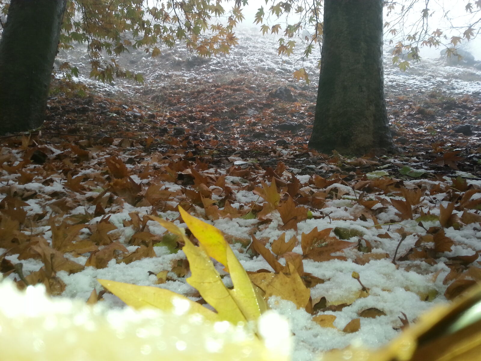 Samsung Galaxy S3 sample photo. Autumn, darband, iran, snow photography