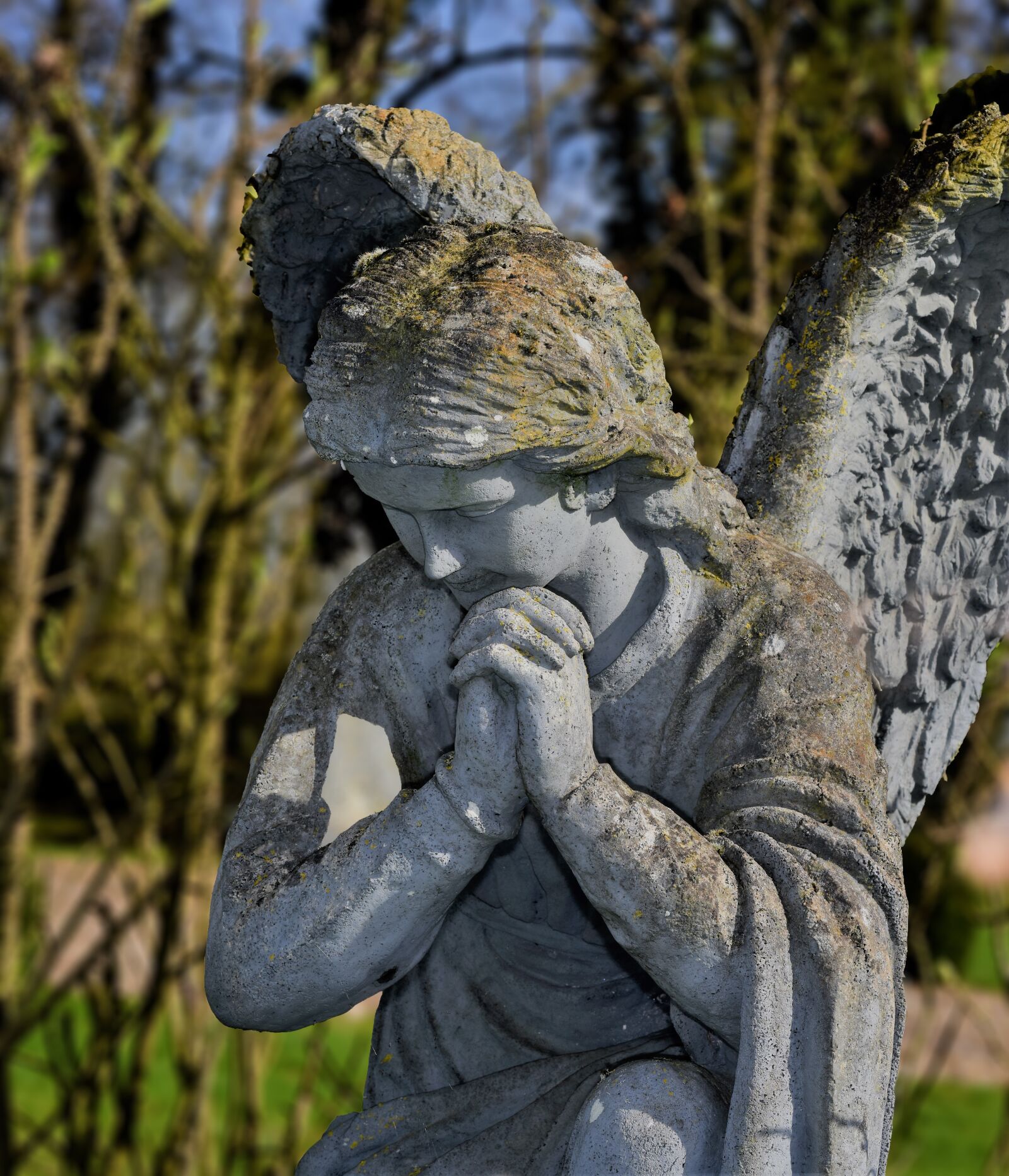 Nikon D810 sample photo. Statue, angel, prayer photography