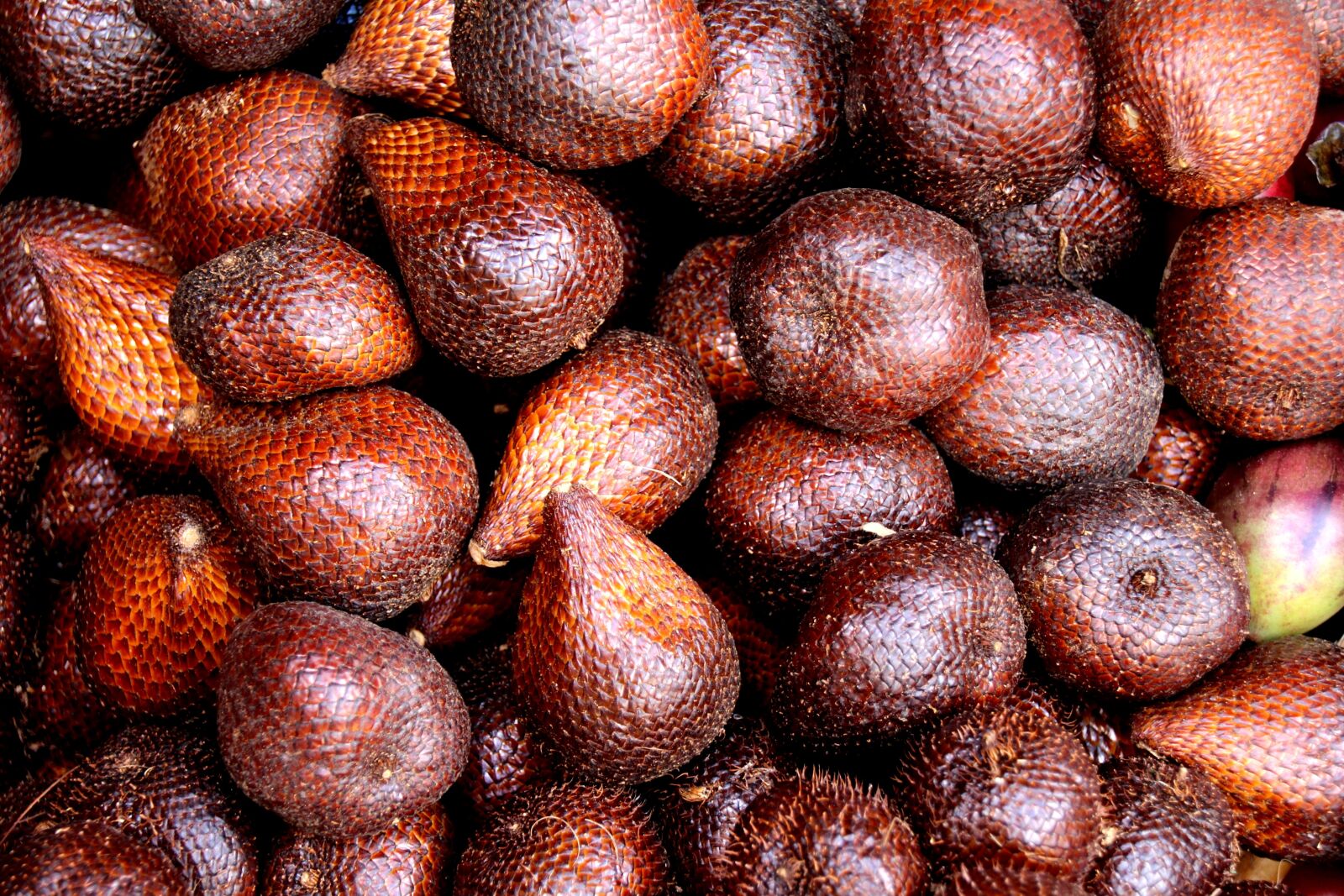 Canon EOS 700D (EOS Rebel T5i / EOS Kiss X7i) sample photo. Salak, snake fruit, snakeskin photography