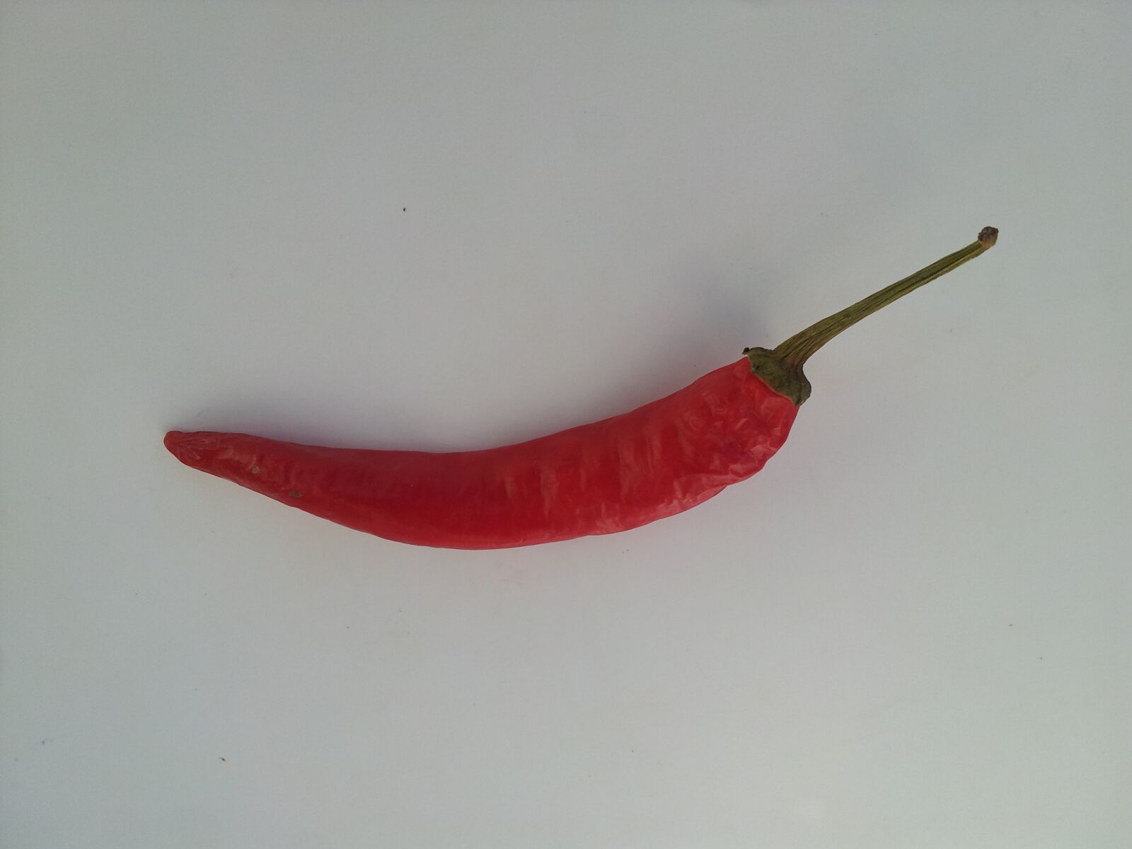 Samsung Galaxy S2 sample photo. Chilli peppers, plant, red photography