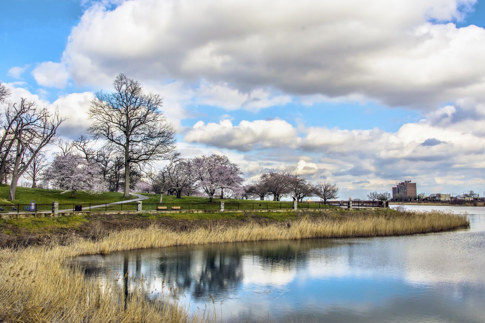 Nikon D7200 sample photo. Water, nature, reflection photography