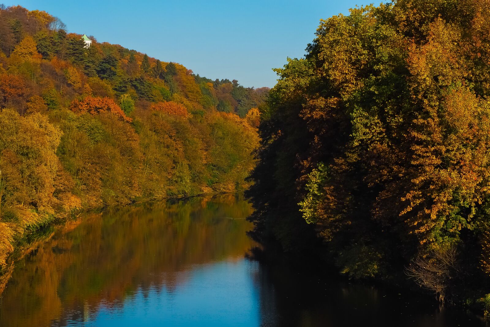 Olympus OM-D E-M10 sample photo. Autumn, nature, trees photography