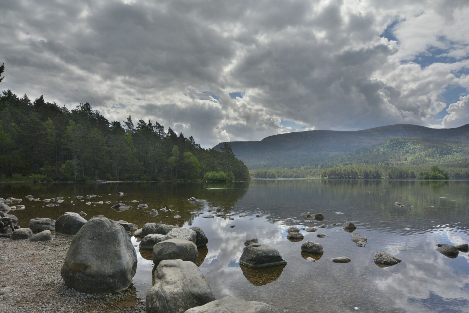 Nikon D7100 sample photo. Uk, scotland, cairngorms national photography