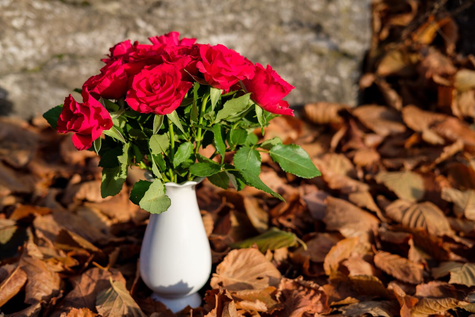 Fujifilm X-T2 + Fujifilm XF 35mm F2 R WR sample photo. Roses, bouquet of roses photography
