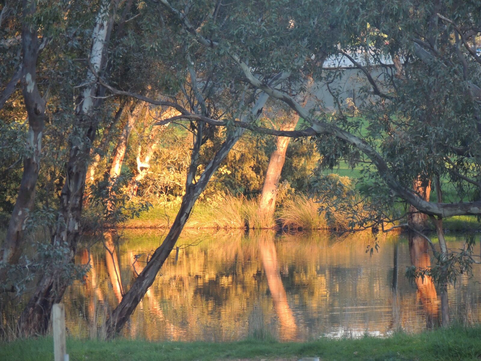 Nikon Coolpix P510 sample photo. Water, sunlight, landscape photography
