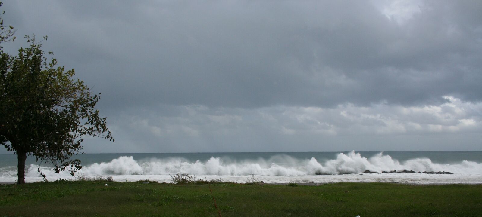 Canon EOS 350D (EOS Digital Rebel XT / EOS Kiss Digital N) sample photo. Trees, sea, waves photography