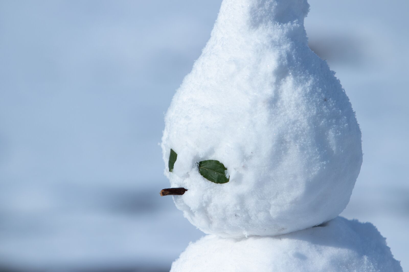Canon EF 70-200mm F2.8L USM sample photo. Snow, snowman, winter photography