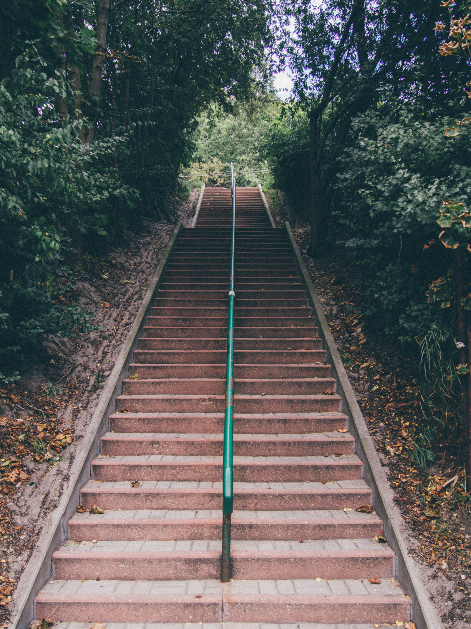 Olympus PEN E-PL5 sample photo. Perspective, railing, stairs, trees photography