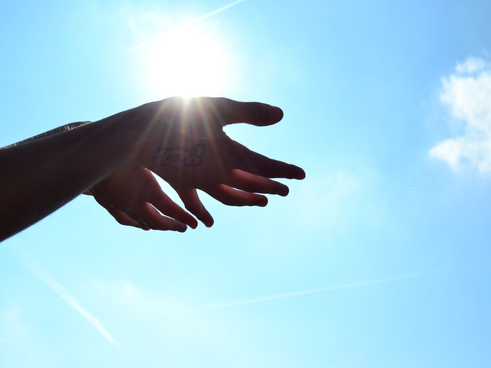 Nikon D3100 sample photo. Hands, sun, heaven photography