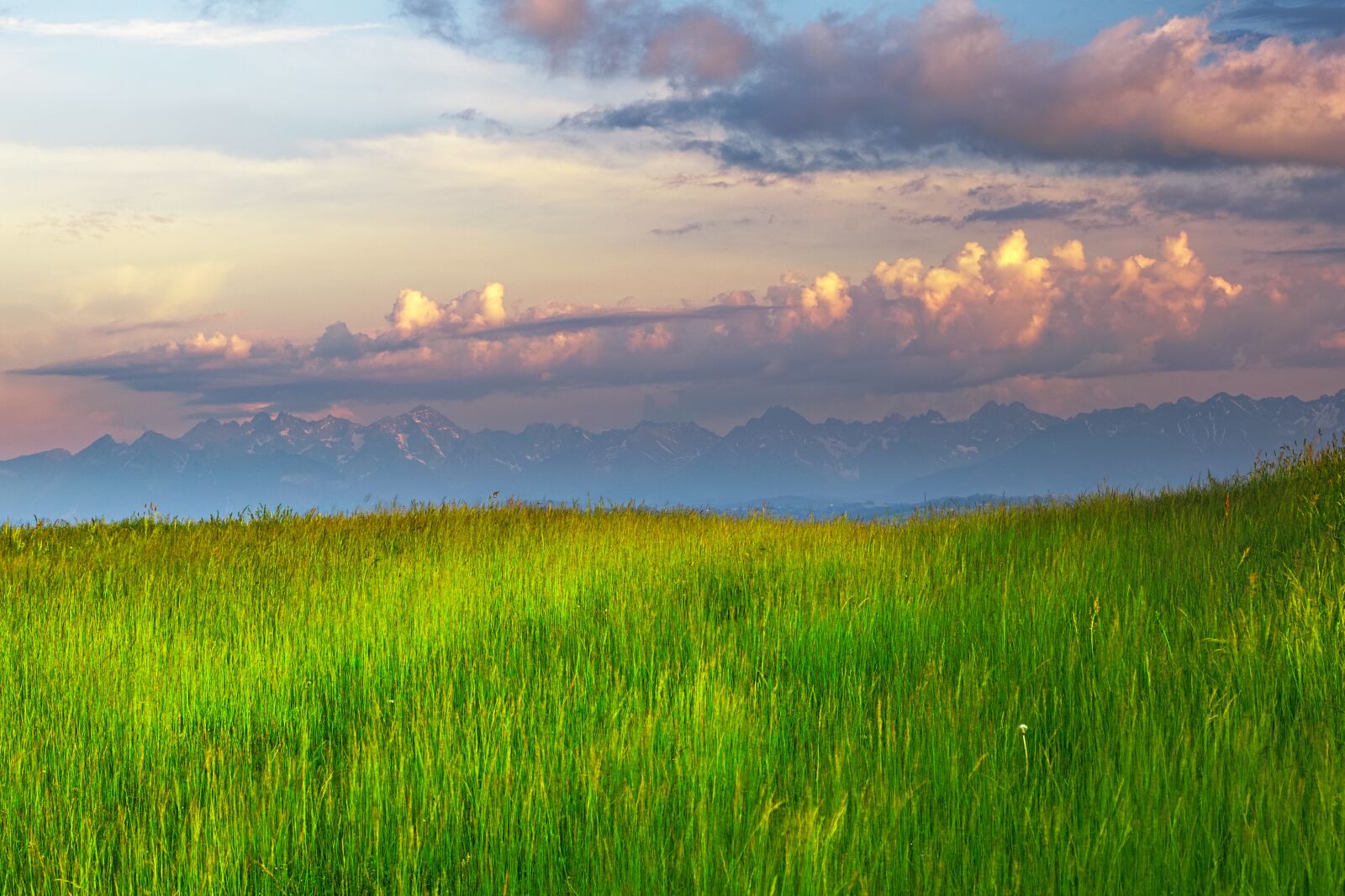 Nikon D5300 sample photo. Meadow, grass, landscape photography