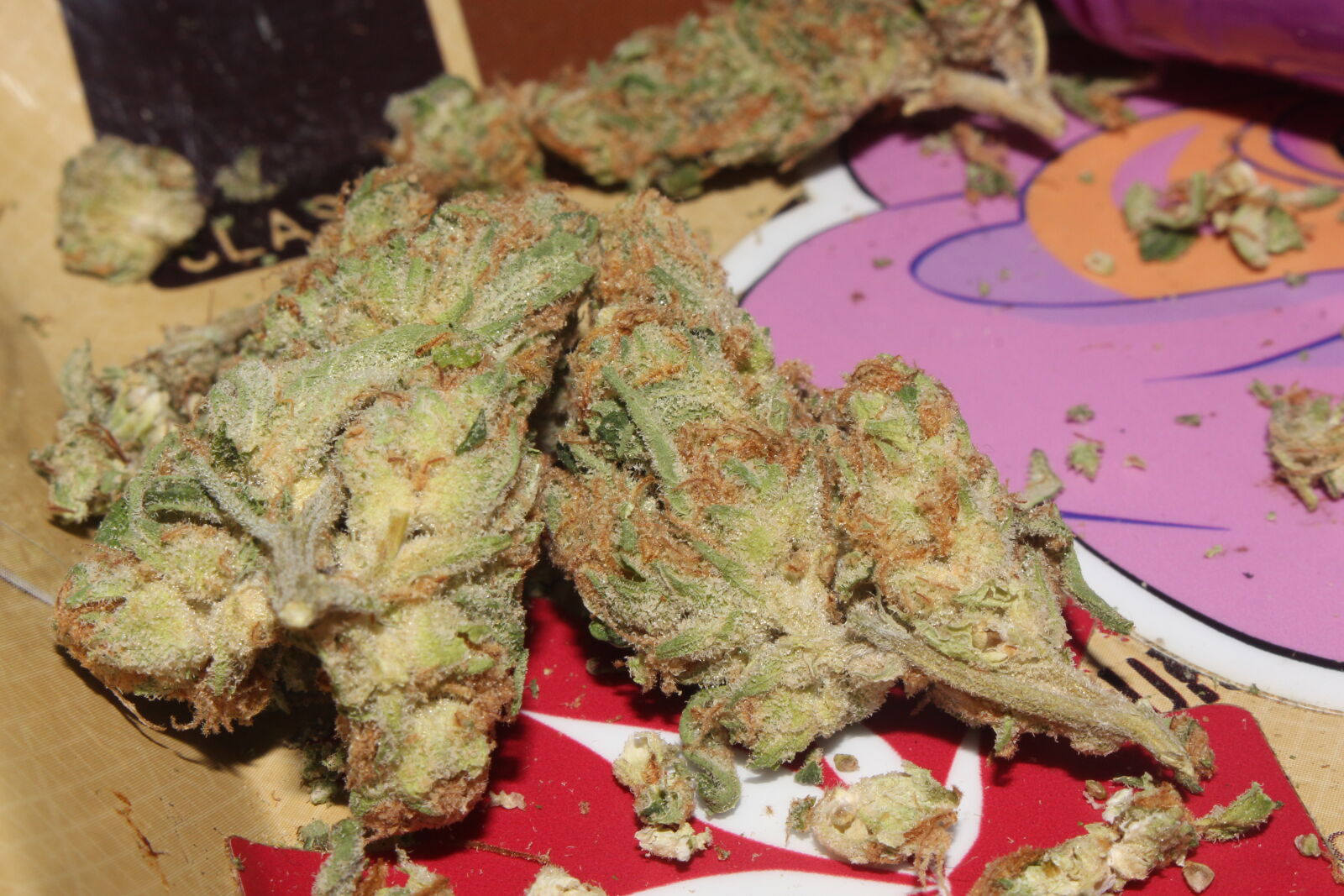 Canon EOS 700D (EOS Rebel T5i / EOS Kiss X7i) sample photo. 420, 710, buds, cannabis photography