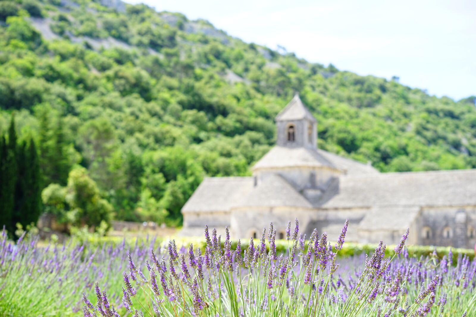 Sony a7 + Sony Sonnar T* FE 55mm F1.8 ZA sample photo. Abbaye de s nanque photography