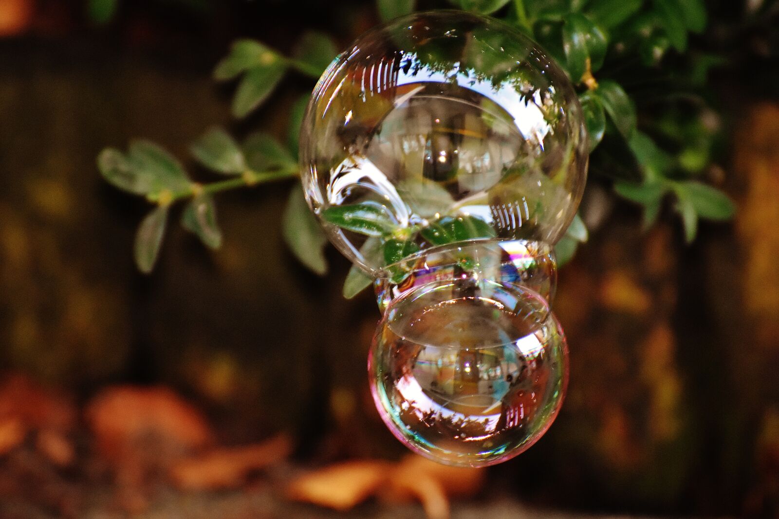 Nikon D7200 sample photo. Soap bubble, colorful, buxbaum photography