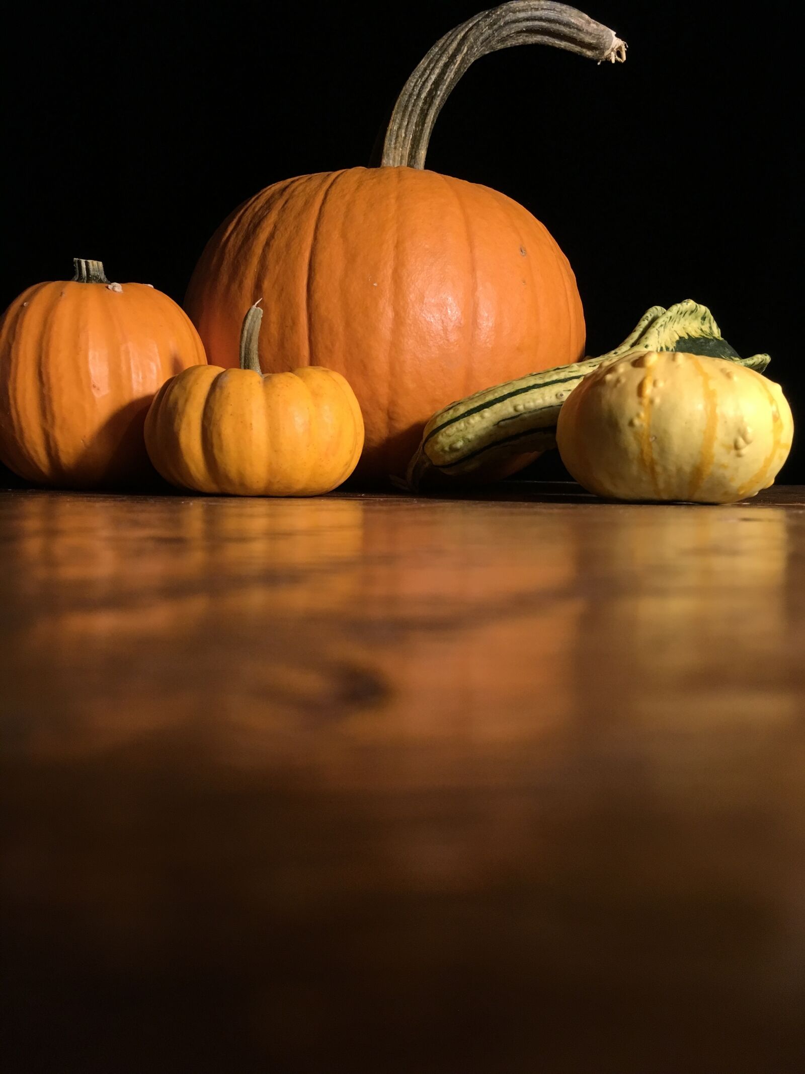 iPad Pro back camera 4.15mm f/2.2 sample photo. Pumpkin, orange, gourd photography