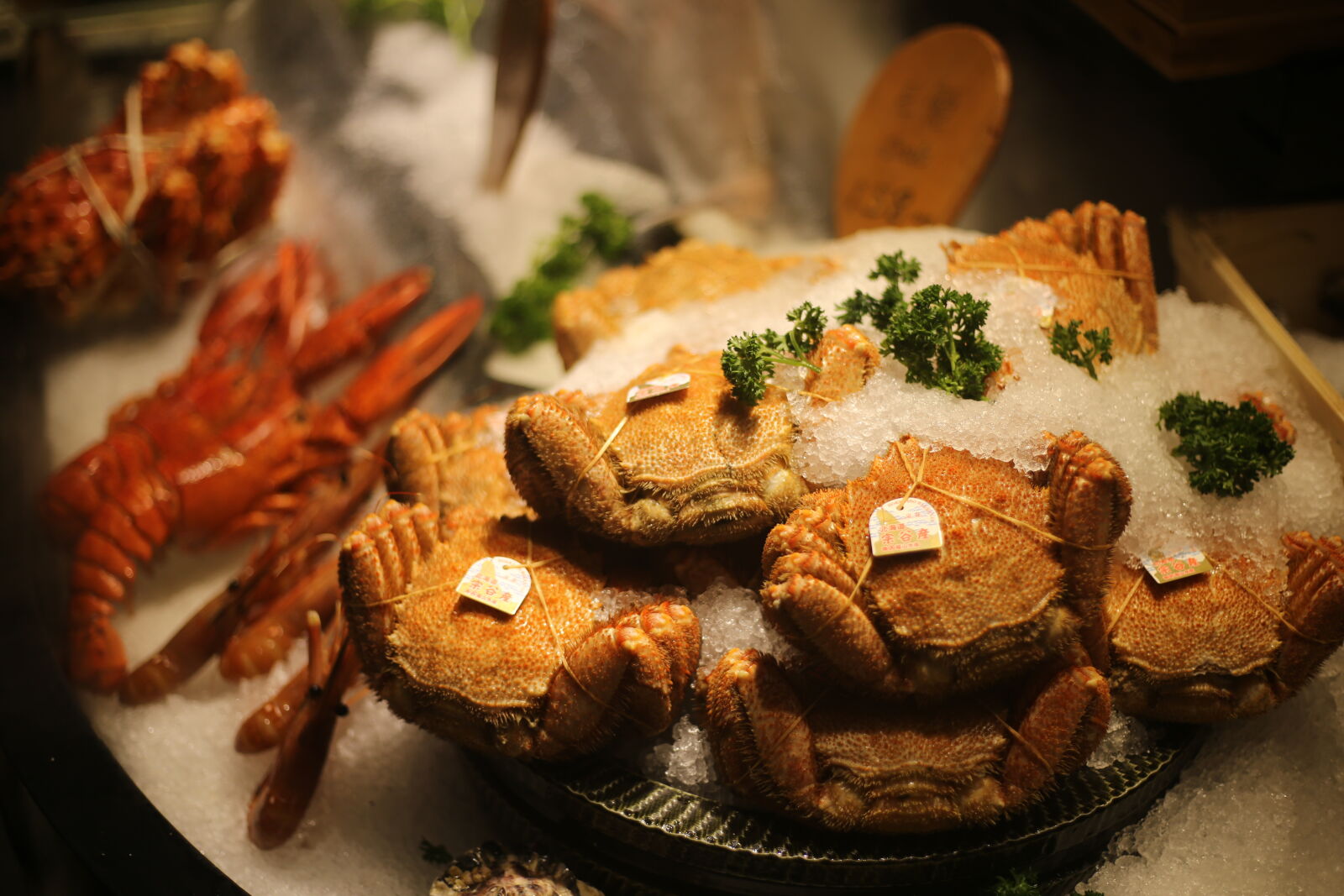 Canon EOS 6D + Canon EF 50mm F1.8 STM sample photo. Crab photography
