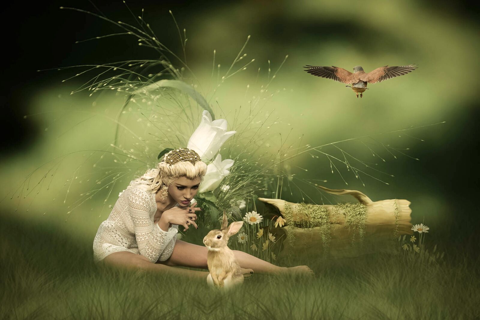 Nikon D600 sample photo. Fantasy, nature, meadow photography