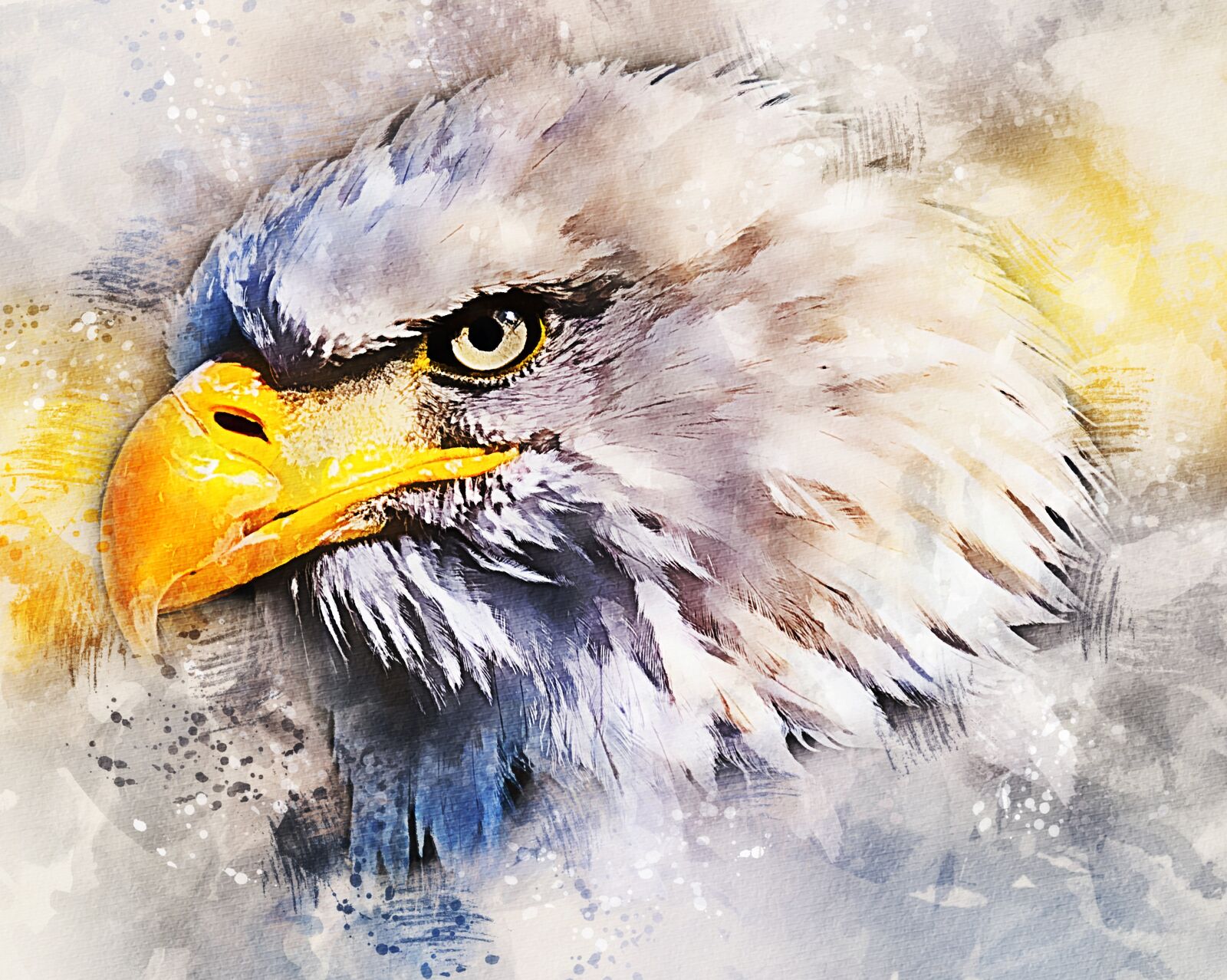 Olympus E-3 sample photo. Adler, white tailed eagle photography