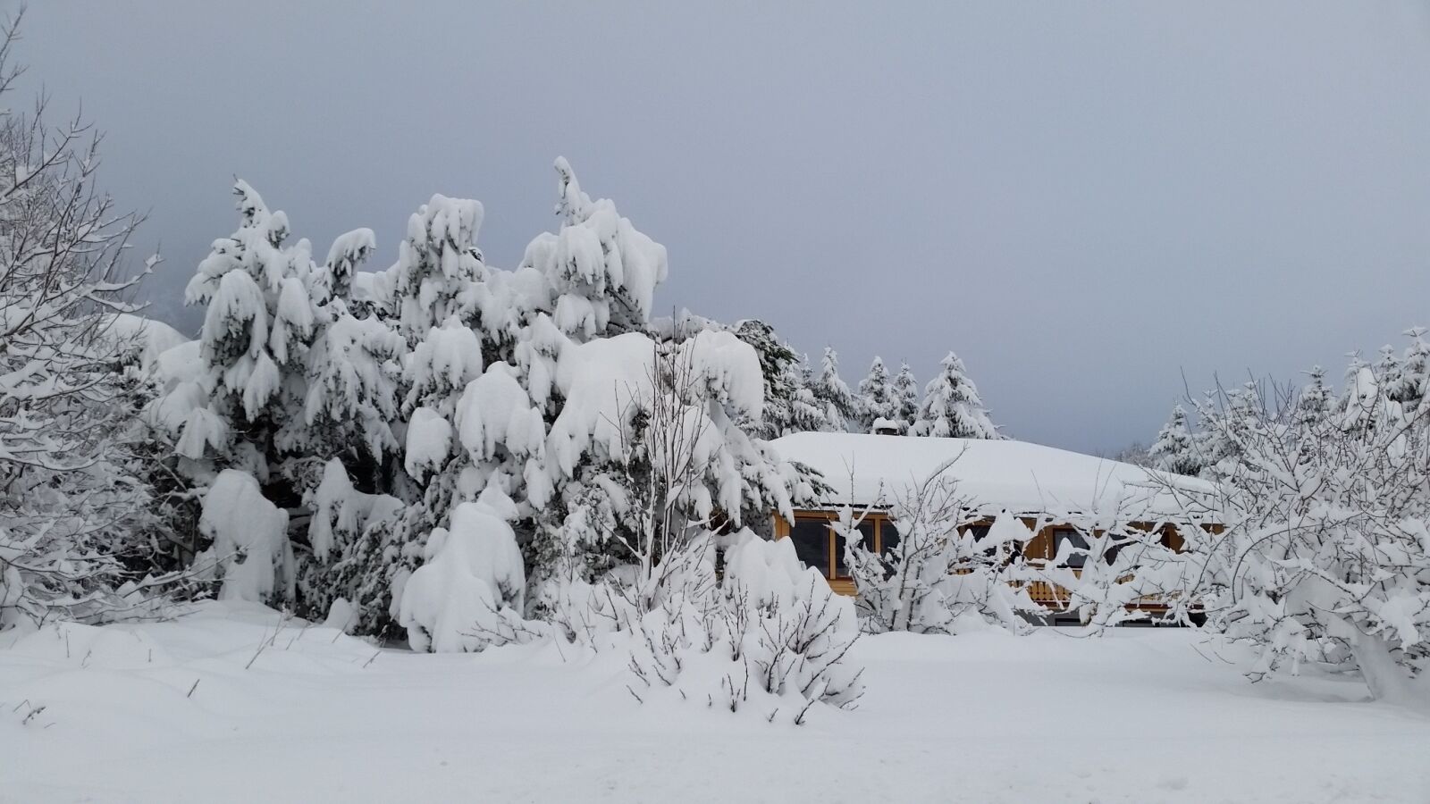 Samsung Galaxy S5 sample photo. Winter, winter landscapes, landscape photography