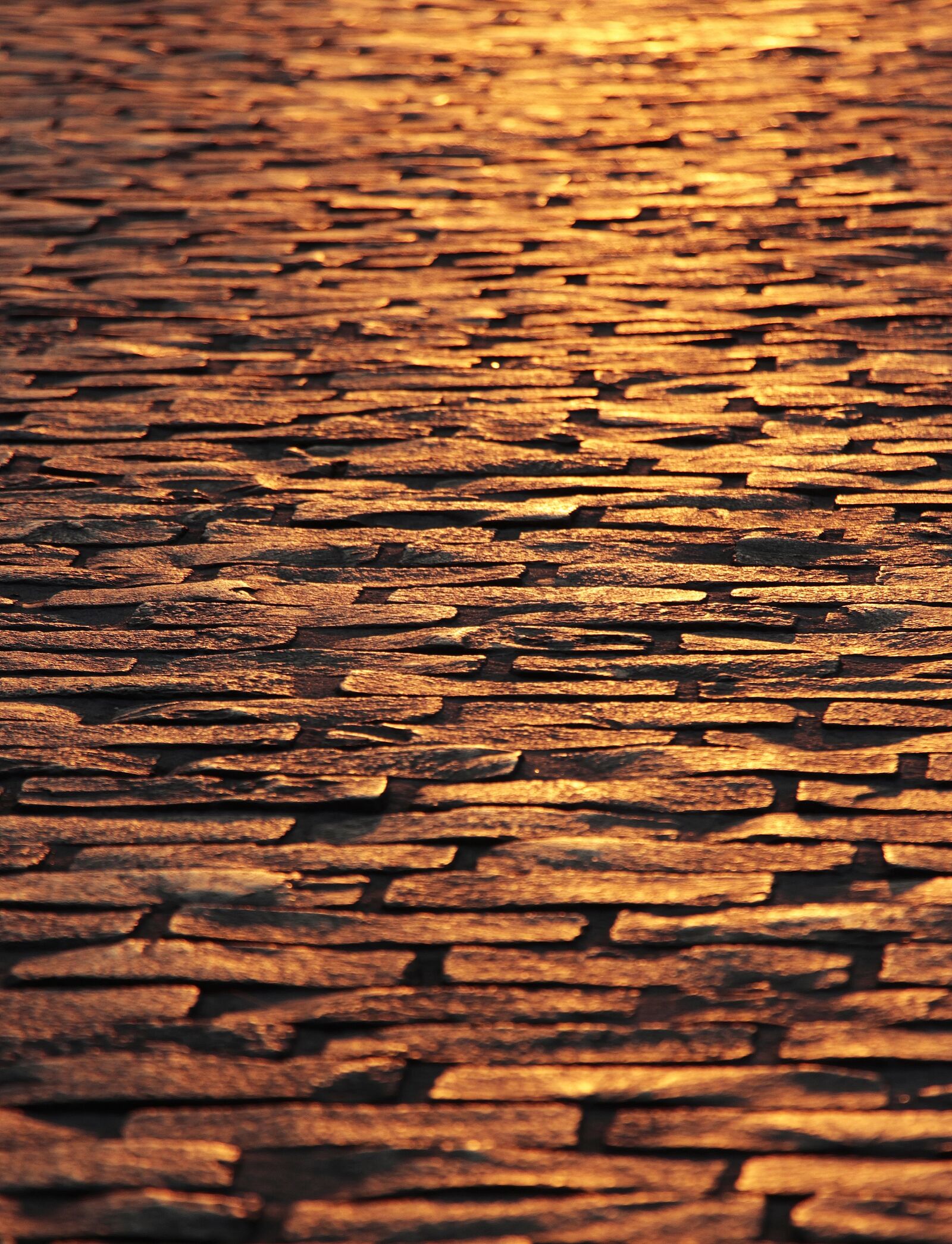 Canon EOS 100D (EOS Rebel SL1 / EOS Kiss X7) sample photo. Cobblestones, paving stones, dusk photography