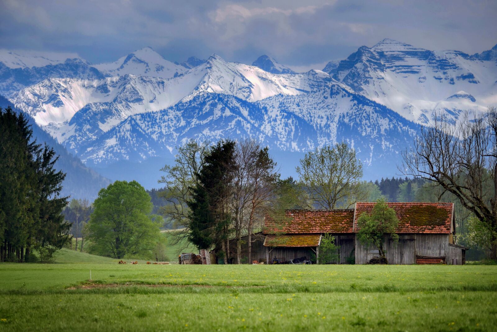 Panasonic Lumix DMC-GX8 sample photo. Alpine, bavaria, mountain photography