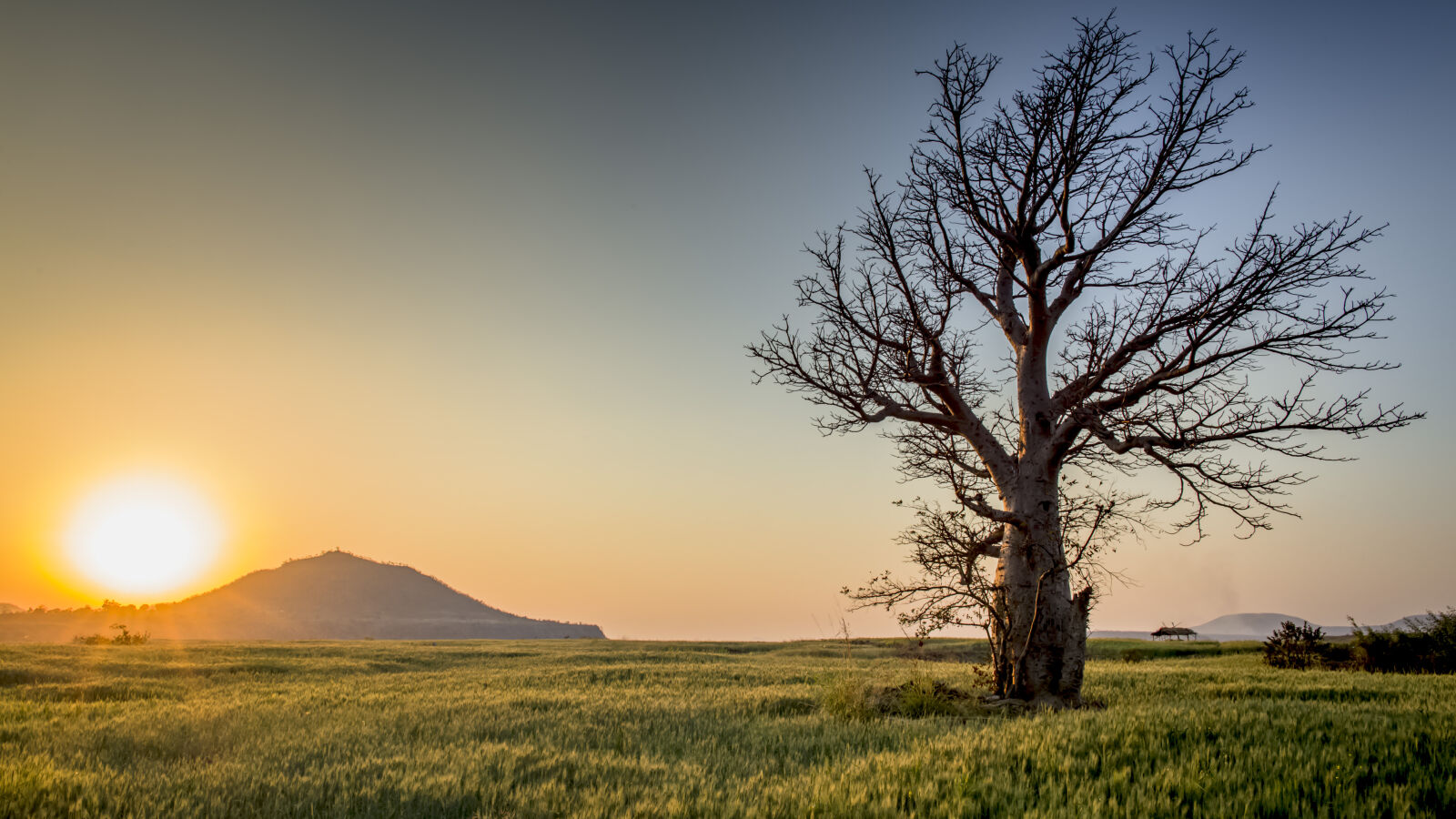 Canon EOS 5D Mark III sample photo. Backlit, countryside, dawn, daylight photography