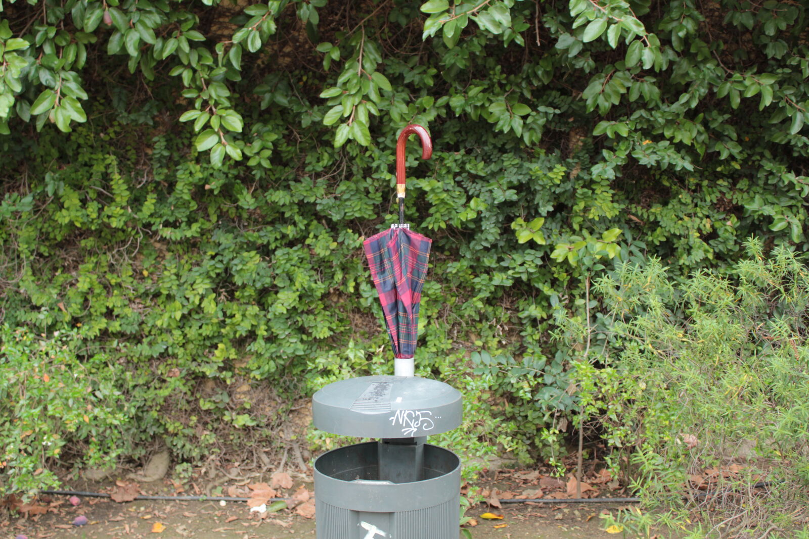 Canon EOS 550D (EOS Rebel T2i / EOS Kiss X4) sample photo. Plants, trash, can, umbrella photography