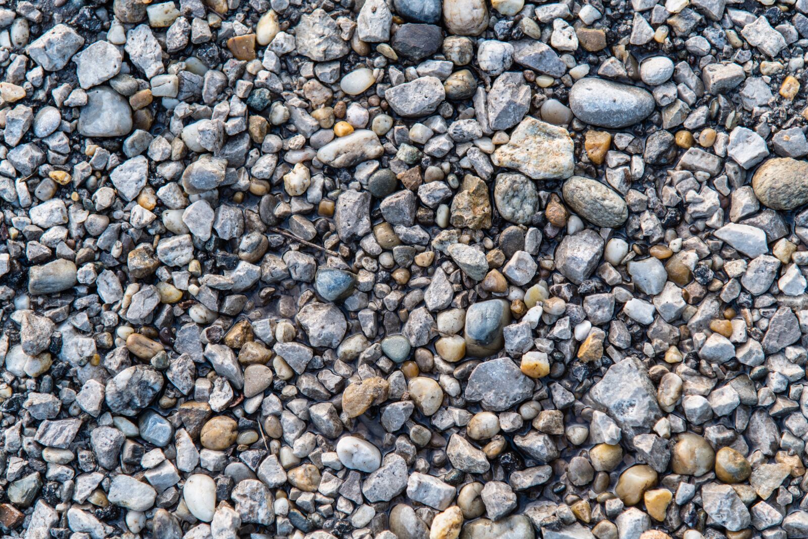 Nikon D850 sample photo. Nature, stones, texture photography