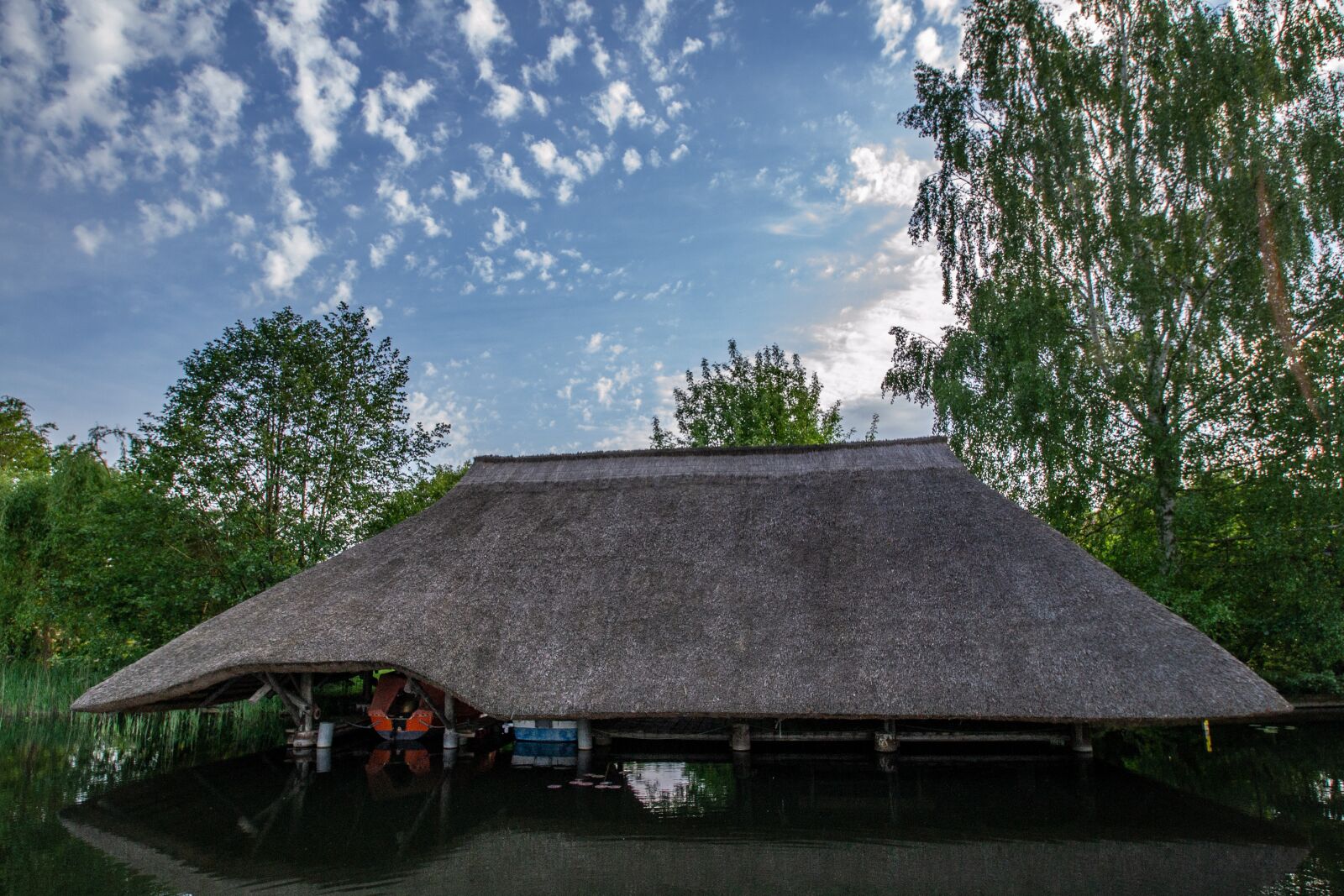Nikon D3100 sample photo. Water, the boat-house reed photography