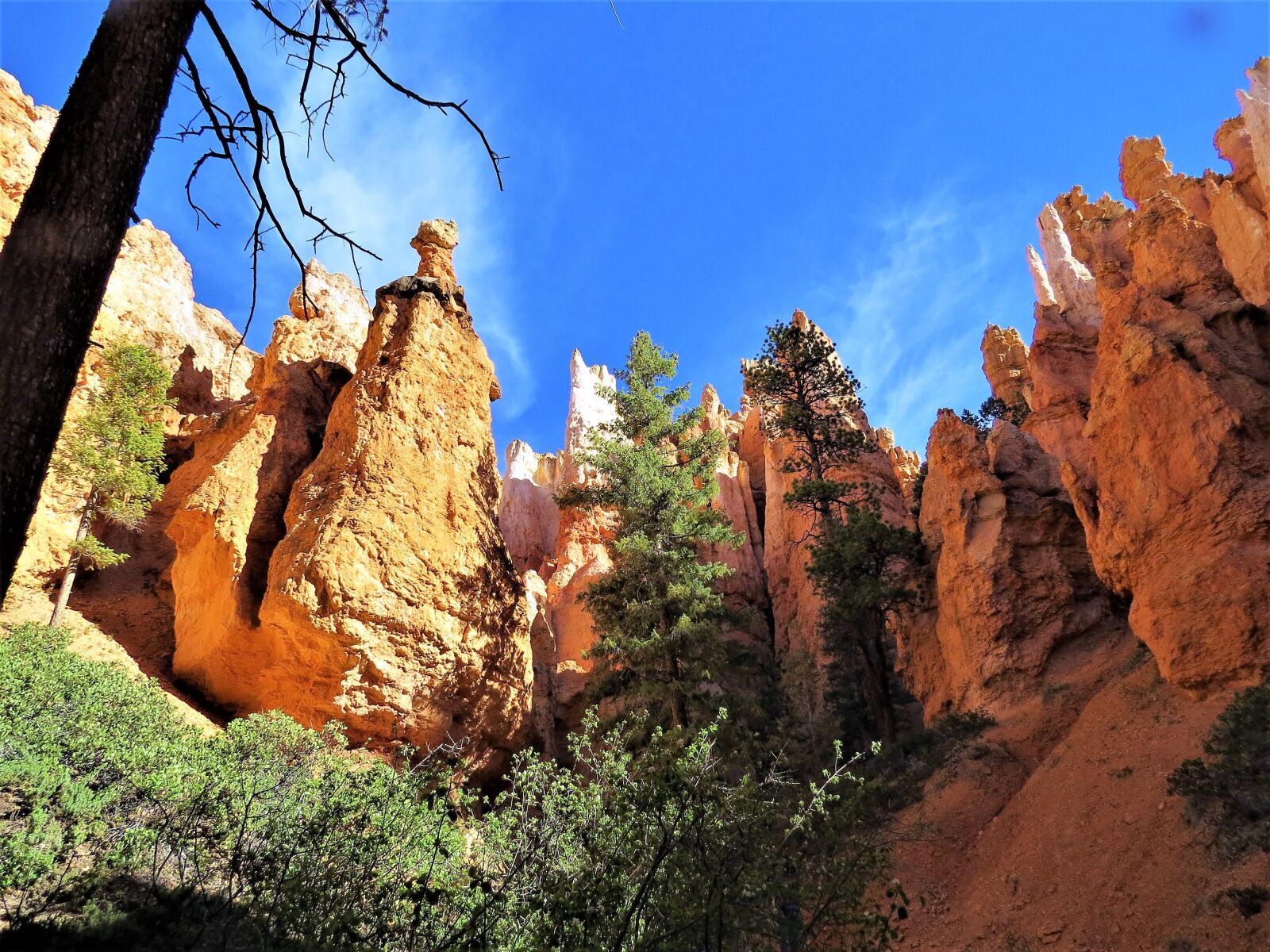 Canon PowerShot SX50 HS sample photo. Bryce canyon, red sandstone photography