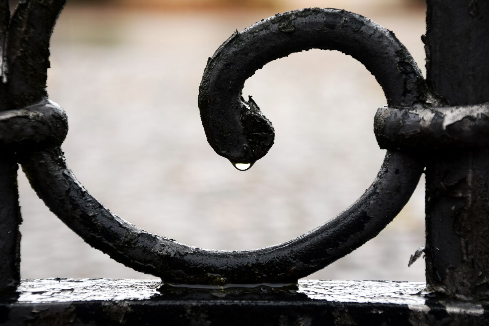 Nikon D3300 sample photo. Metal, ornament, iron photography