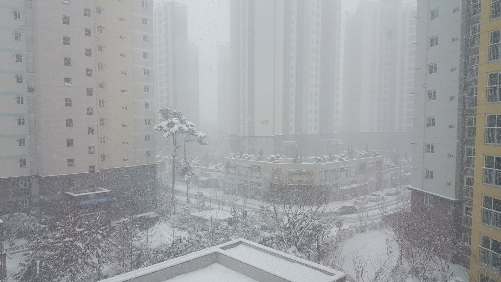 Samsung Galaxy Note5 sample photo. Snow, apt, tree photography