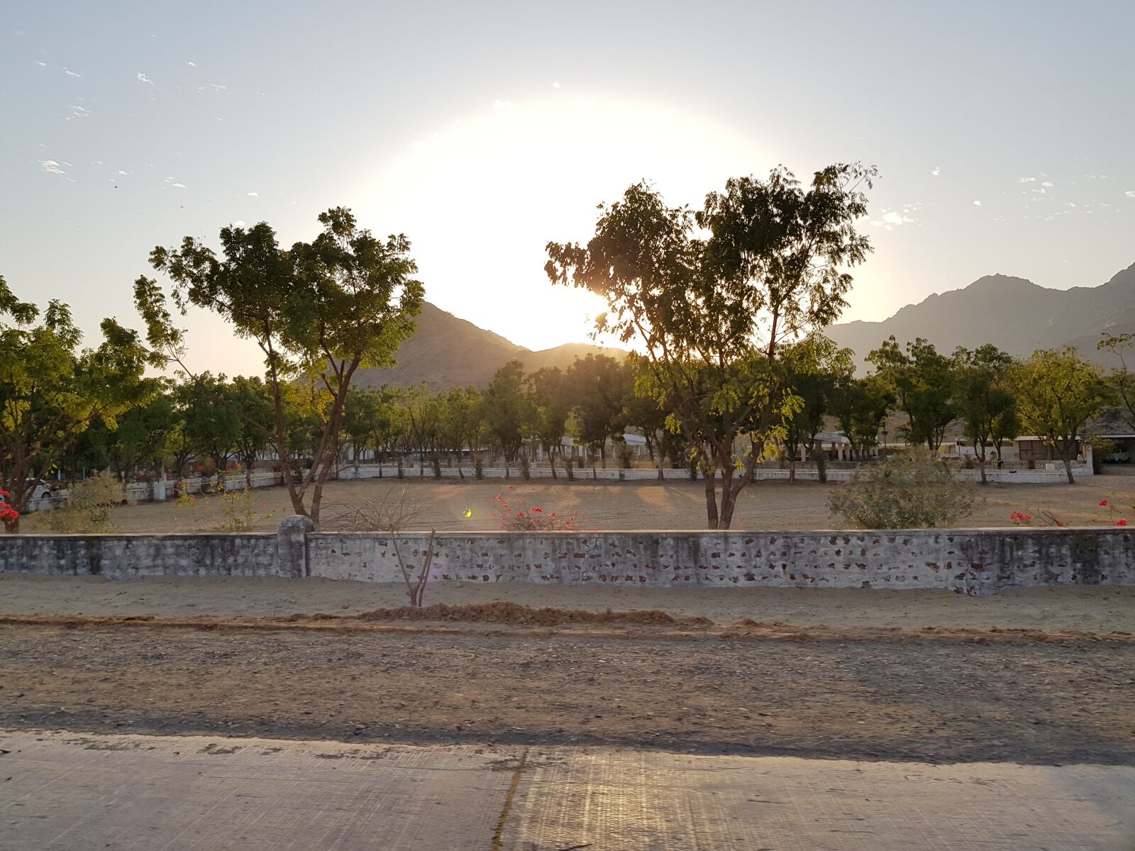 Samsung Galaxy S8+ sample photo. Sunrise, trees, view photography