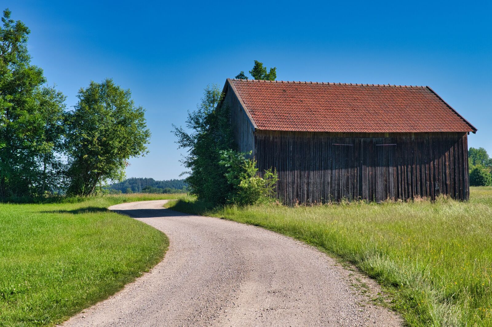 Nikon D7500 sample photo. Field barn, barn, scale photography