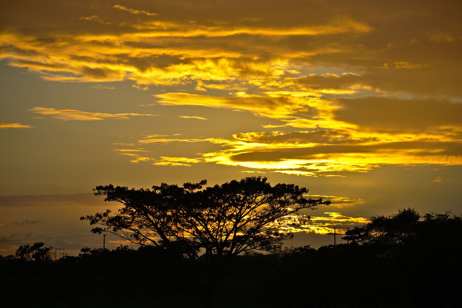 Nikon D7200 sample photo. Sunset, dawn, dusk photography