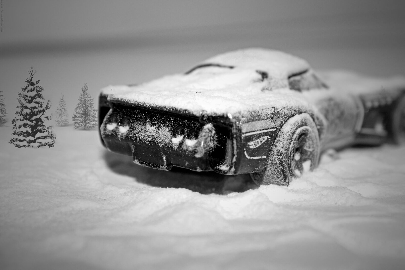 Canon EOS 700D (EOS Rebel T5i / EOS Kiss X7i) sample photo. Black, and, white, christmas photography