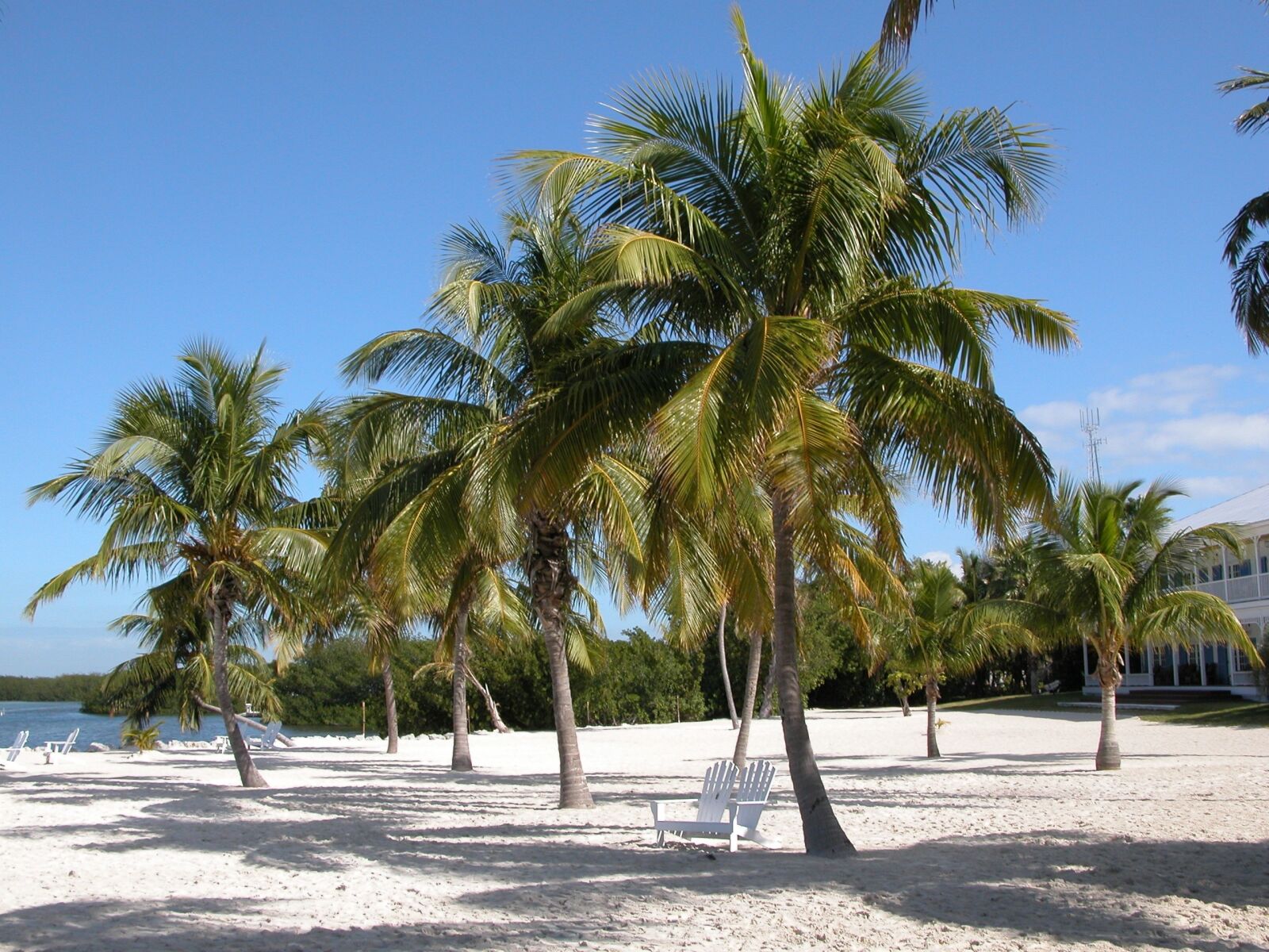 Nikon E5700 sample photo. Florida, ocean, keys photography