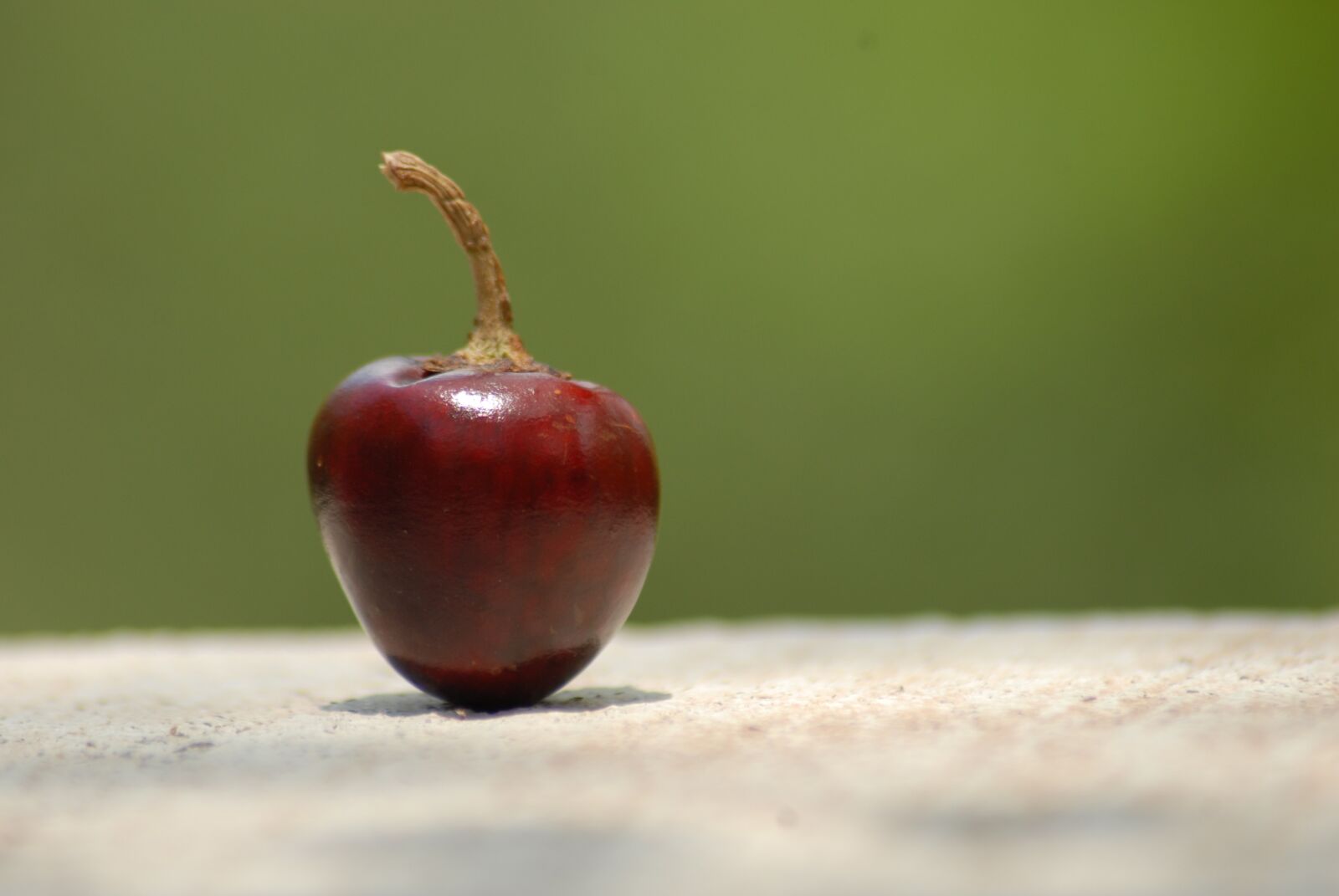 Nikon D200 sample photo. Chile apple, spicy, nature photography