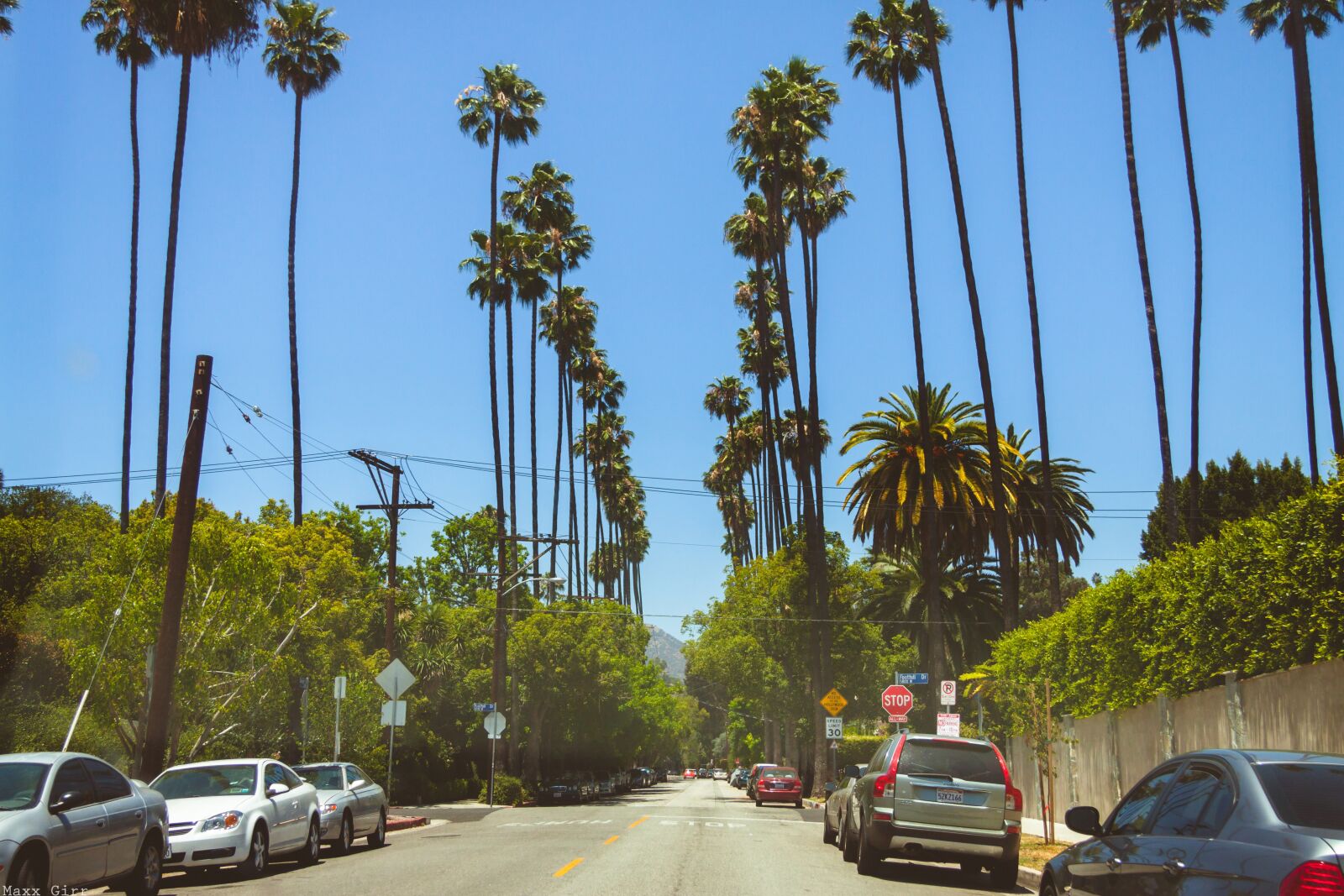Canon EF-S 17-85mm F4-5.6 IS USM sample photo. Hollywood, california, palma photography