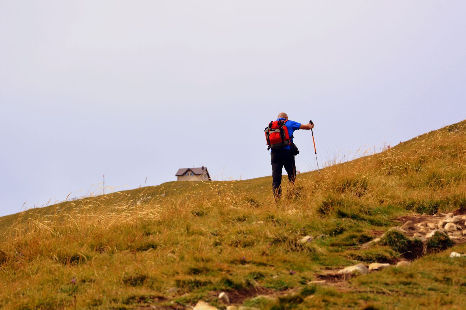 Nikon D7100 sample photo. Trail, hiking, ascent photography