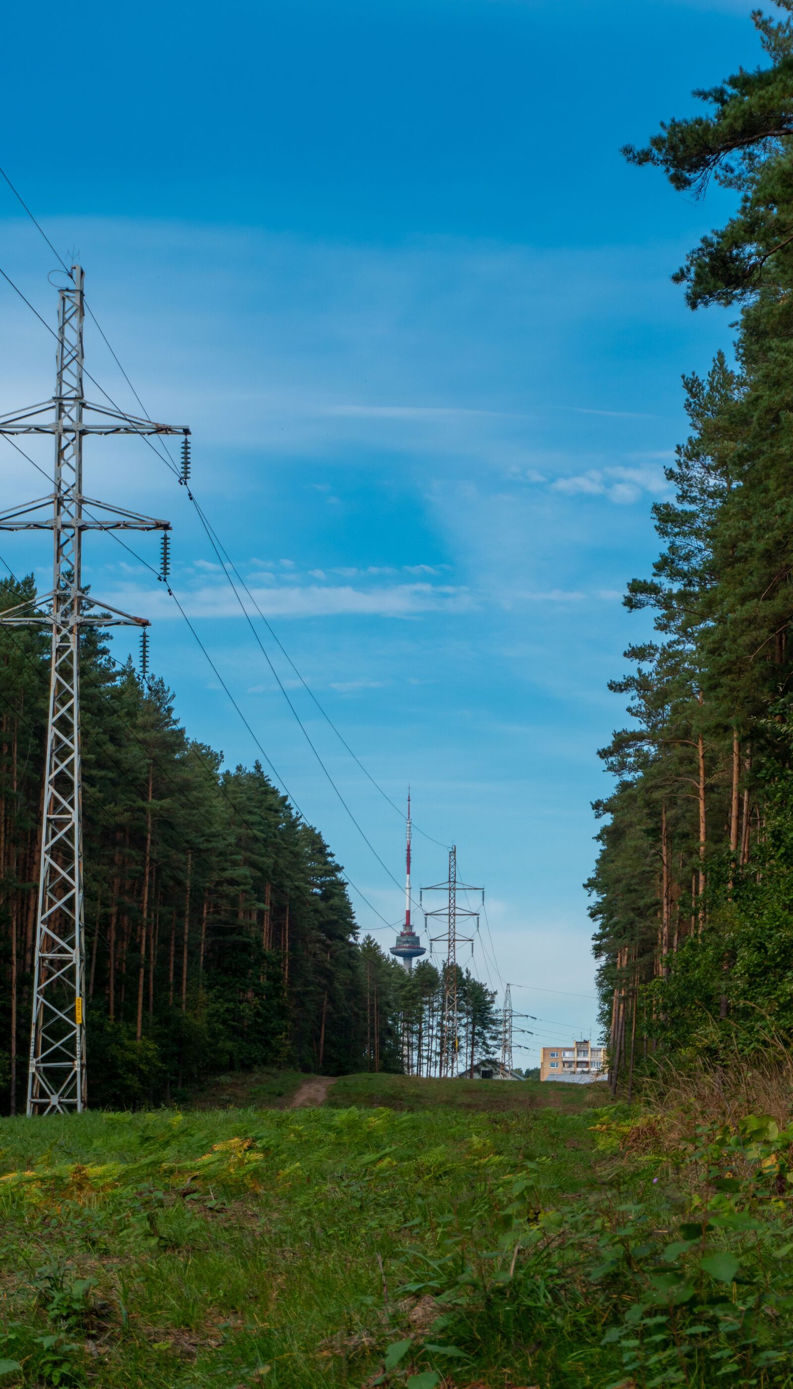 Sony a6500 + Sony E 16-50mm F3.5-5.6 PZ OSS sample photo. Electricity, forest, energy photography