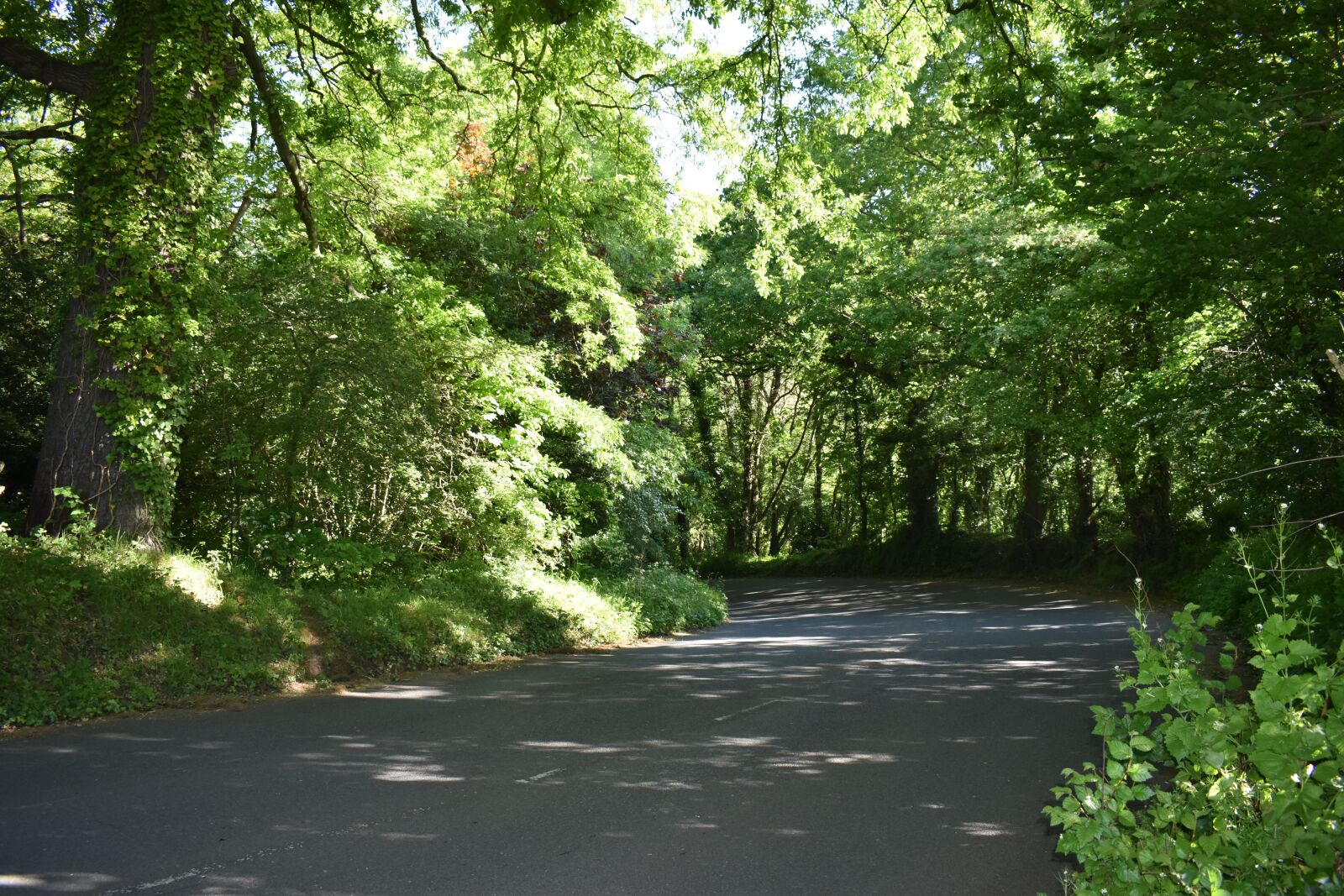 Nikon D3500 sample photo. Road, sunlight, light photography
