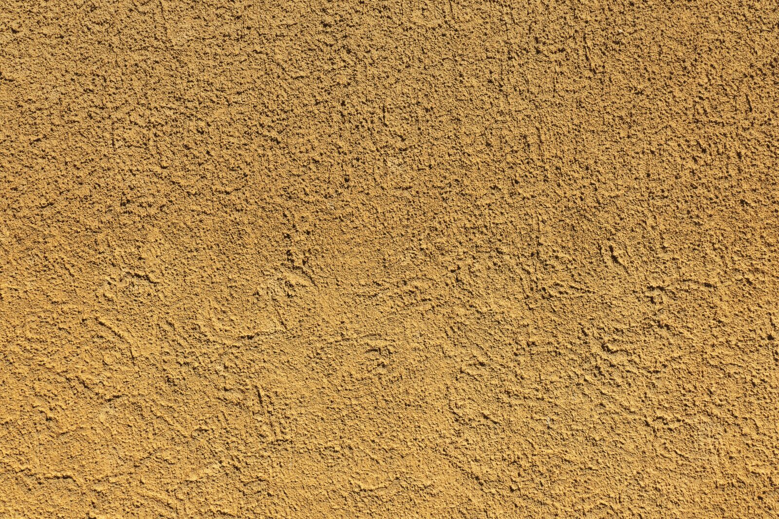 Panasonic Lumix DMC-FZ1000 sample photo. Plaster, facade, structural plaster photography