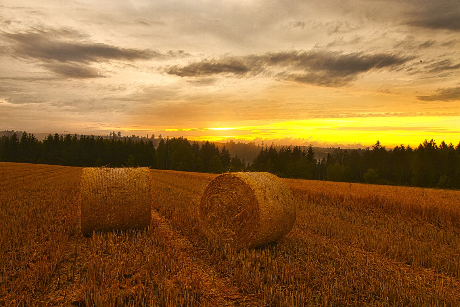 Canon EOS 5D Mark II sample photo. Field, sunset, landscape photography