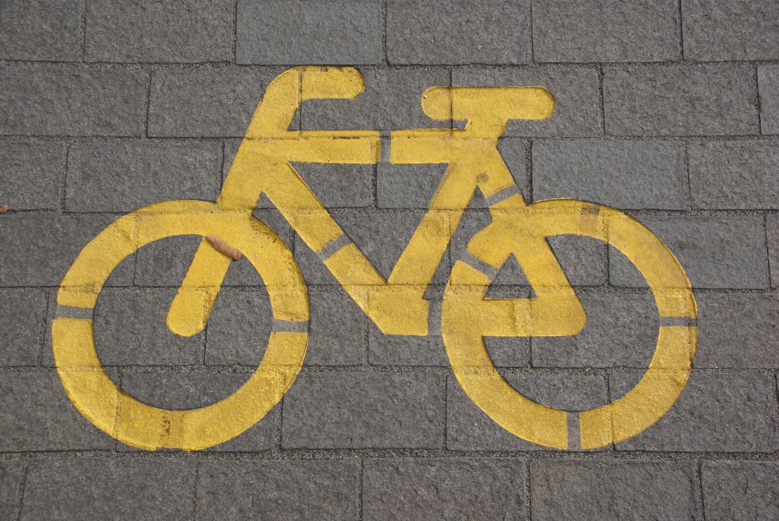Sony Alpha DSLR-A230 sample photo. Bike, traffic, bike lane photography