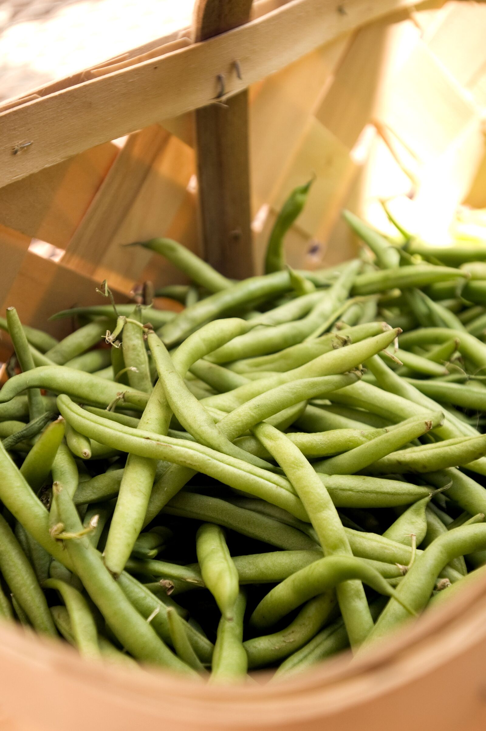 Nikon D300 sample photo. Up-close, basket, fresh, green photography
