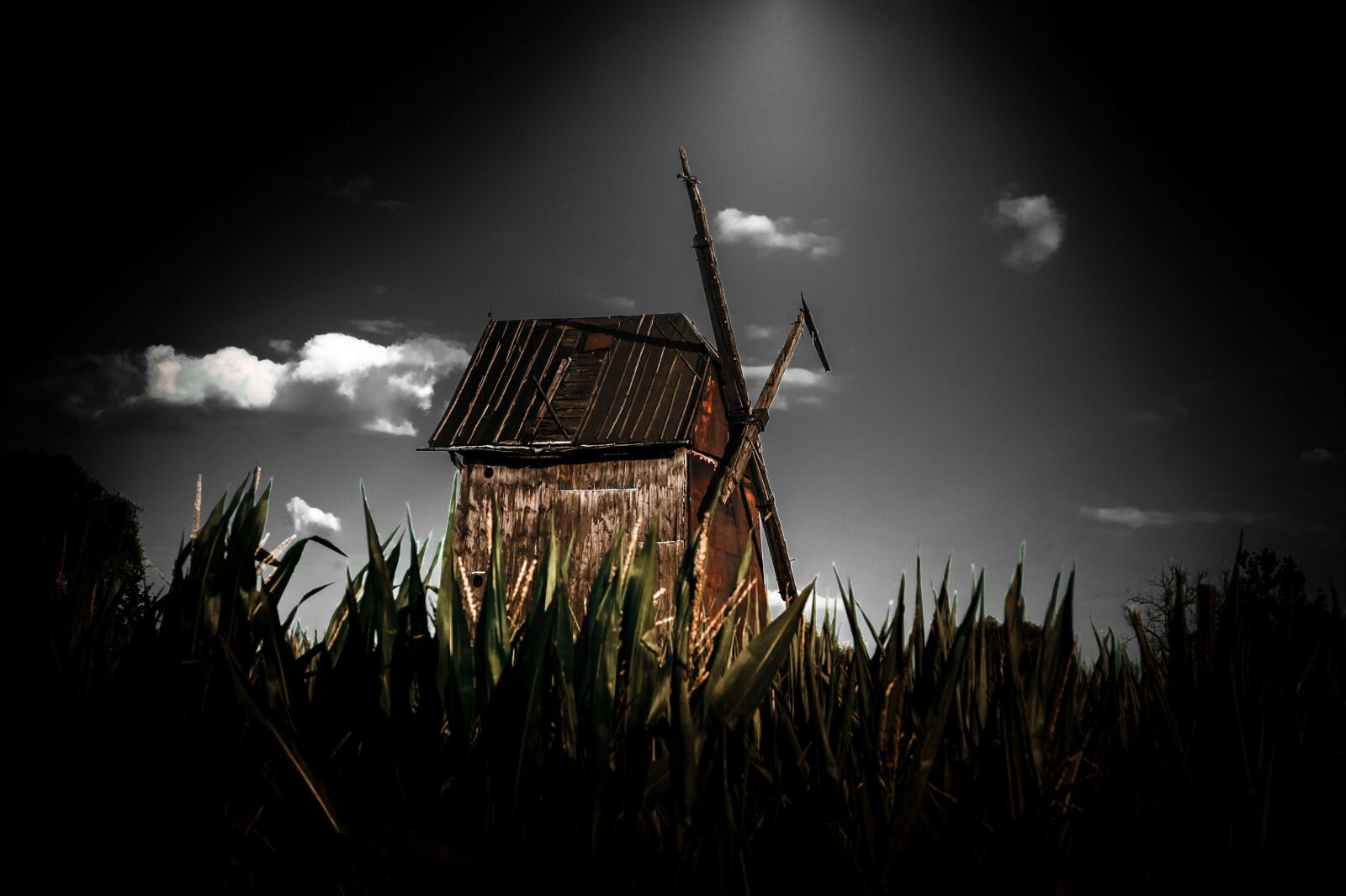 Sony Alpha DSLR-A550 sample photo. Windmill, old, mill photography
