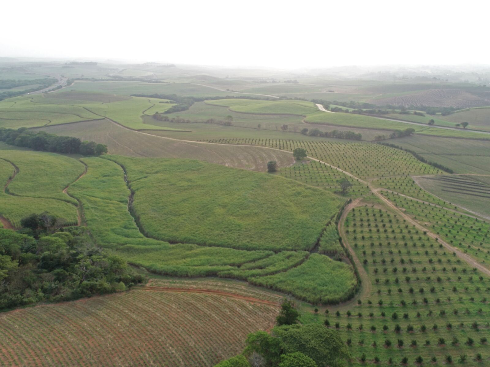 DJI FC6310 sample photo. Farm, land, fields photography