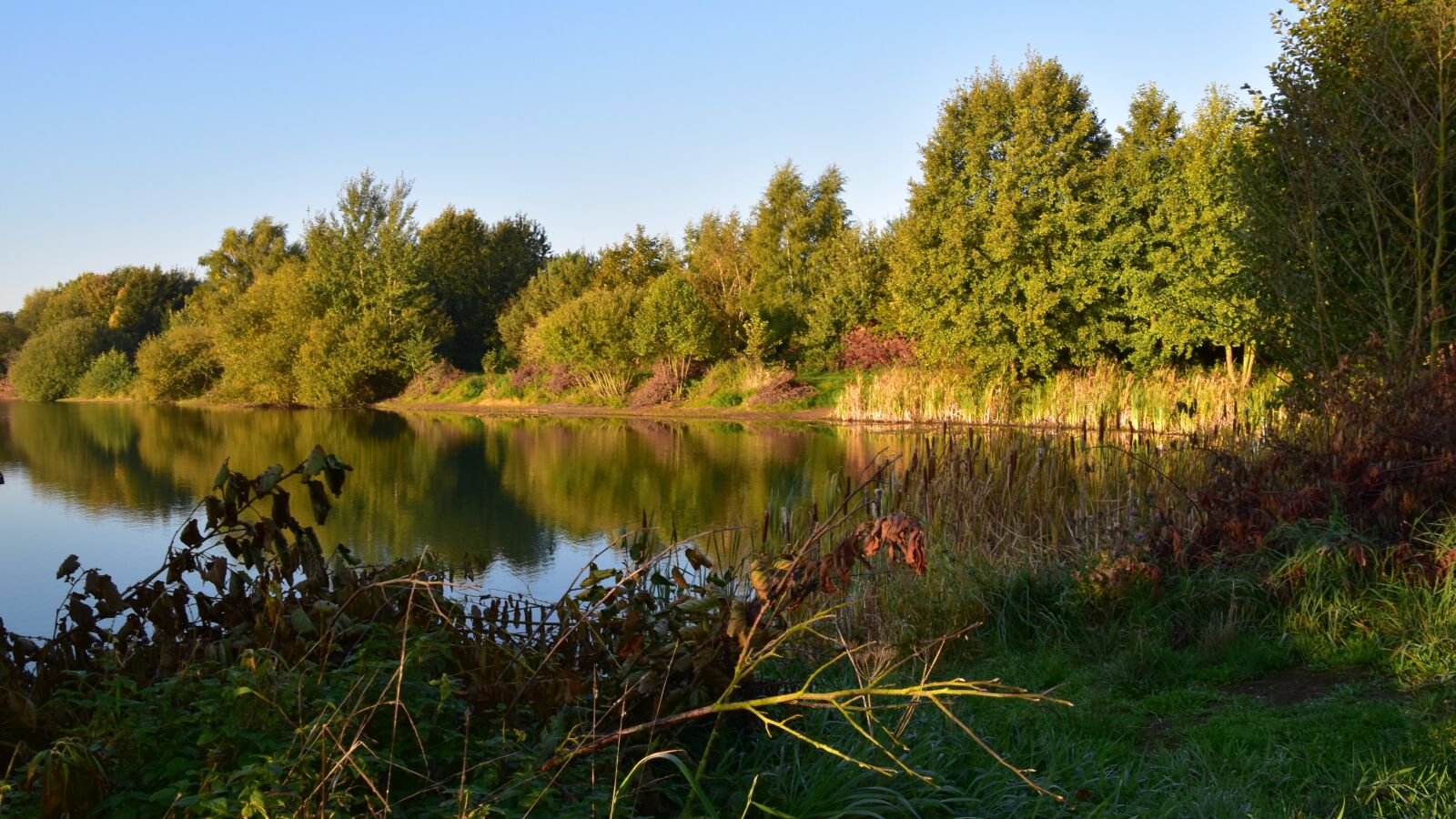 Nikon D5600 sample photo. Lake, pond, water photography
